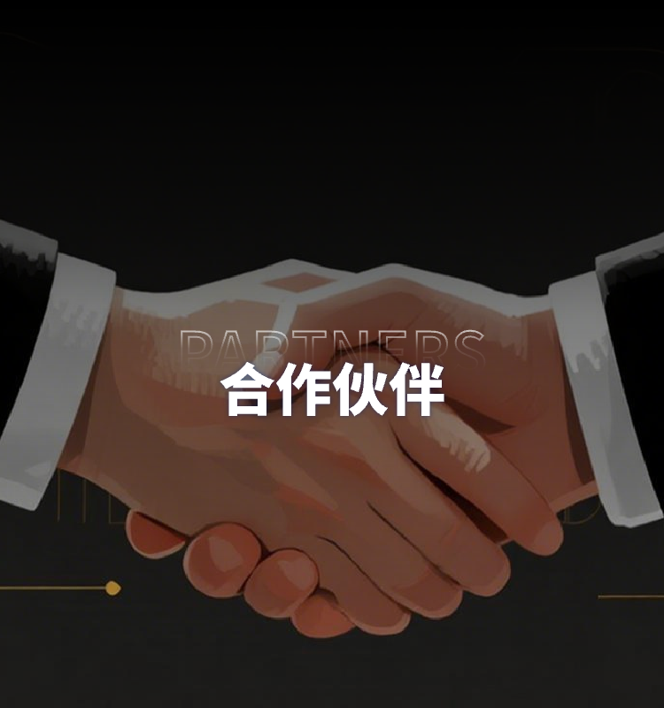 合作伙伴
